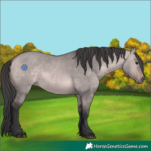 Horse Color:Platinum Bay Dun 