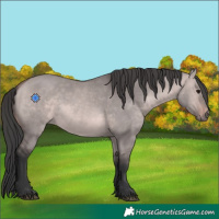 Horse Color:Platinum Bay Dun