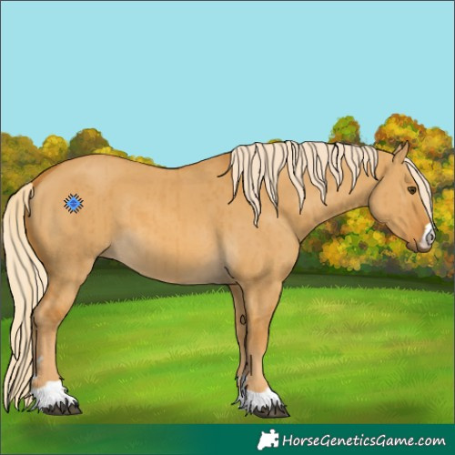Horse Color:Palomino Dun Brindle