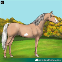 Horse Color:Silver Amber Champagne Frame