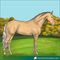 Horse Color:Silver Sable Cream Champagne 