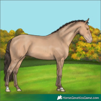 Horse Color:Amber Champagne