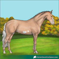 Horse Color:Silver Amber Champagne Frame 