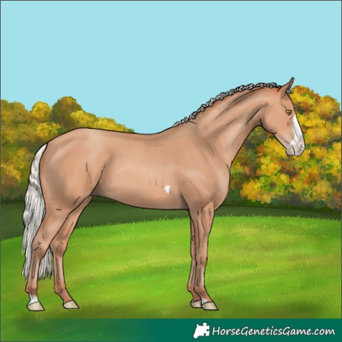 Horse Color:Silver Amber Champagne Frame 