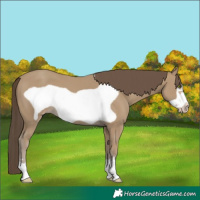 Horse Color:Classic Cream Champagne Frame 