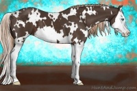 Horse Color:White Spotted Liver Chestnut Splash 