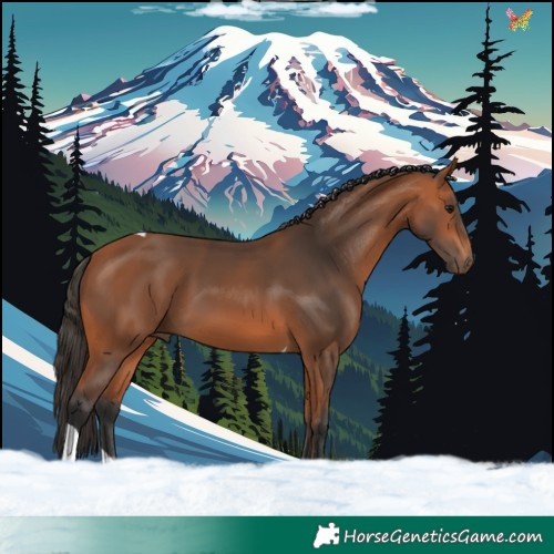 Horse Color:Bay Tobiano 