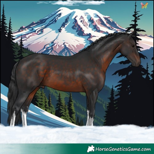 Horse Color:White Spotted Brown 