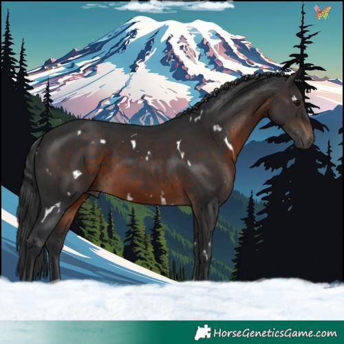 Horse Color:White Spotted Brown 