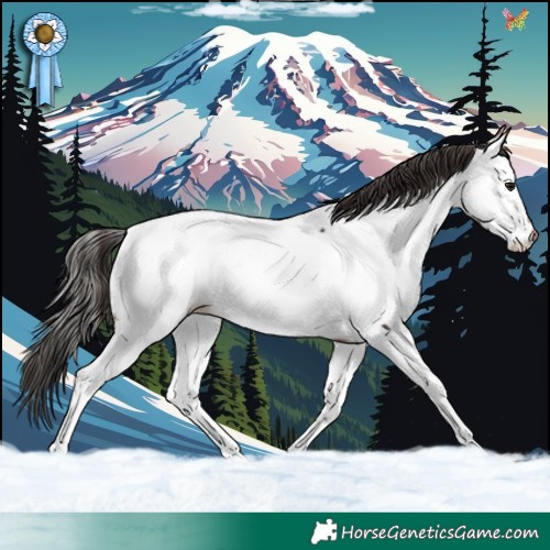 Horse Color:Brown Fewspot Rabicano 