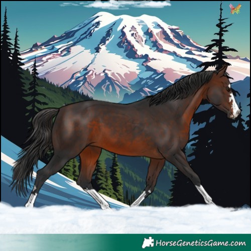 Horse Color:Brown 