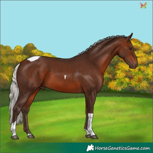 Horse Color:Silver Bay Tobiano 