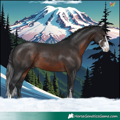 Horse Color:Brown Sabino 