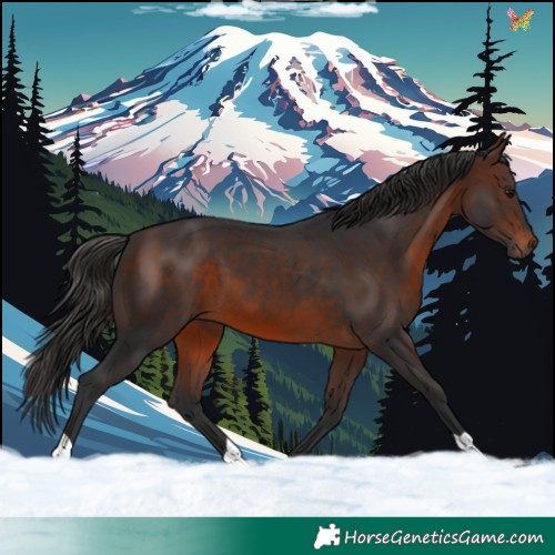 Horse Color:Brown 