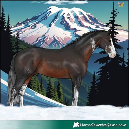 Horse Color:Brown Sabino 