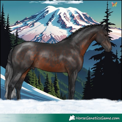 Horse Color:Brown 