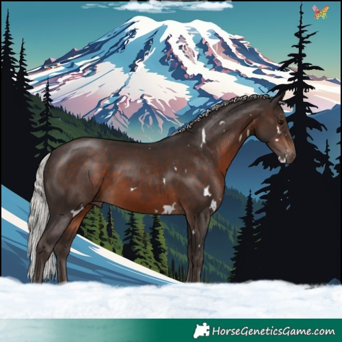Horse Color:White Spotted Silver Brown 