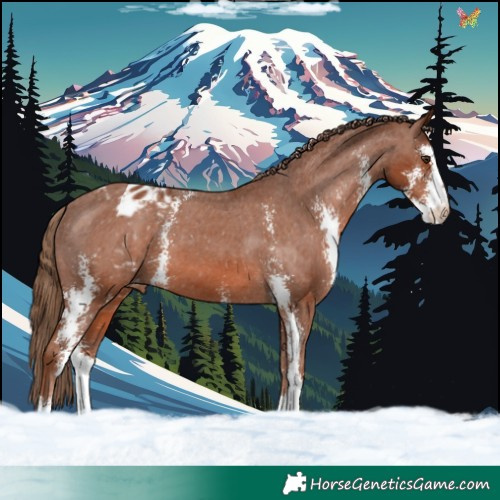 Horse Color:Chestnut Sabino Varnish 