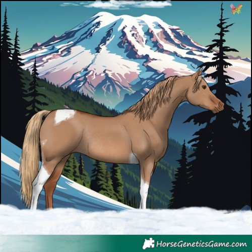 Horse Color:Red Dun Tobiano Rabicano 