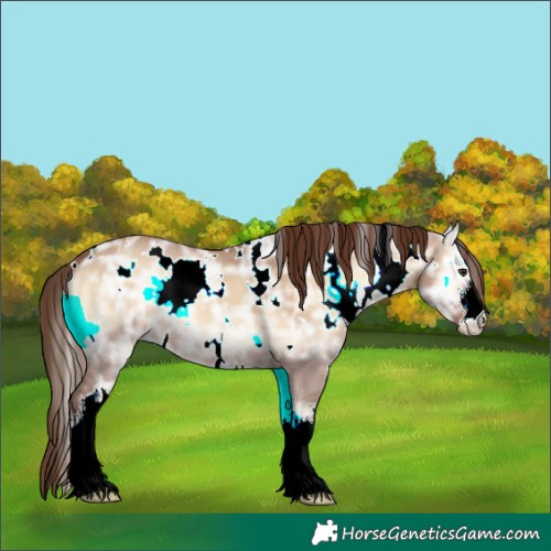 Horse Color:White Spotted Red Dun Ice Onyx 