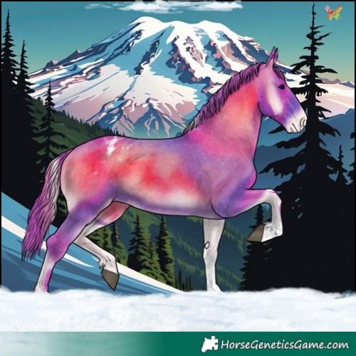 Horse Color:Watercolor Blue Onyx Tobiano Appaloosa 