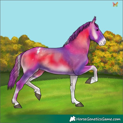 Horse Color:Watercolor Blue Onyx Tobiano Appaloosa 
