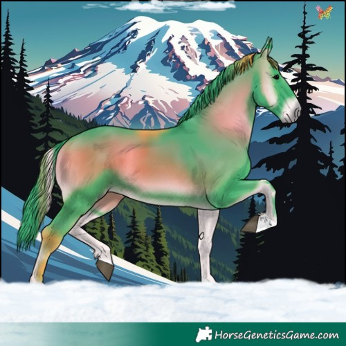 Horse Color:Watercolor Blue Onyx 