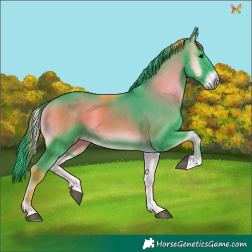 Horse Color:Watercolor Blue Onyx 