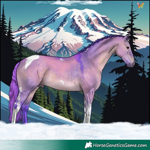 Horse Color:Watercolor Brown Dun Tobiano 