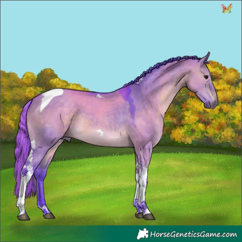 Horse Color:Watercolor Brown Dun Tobiano 