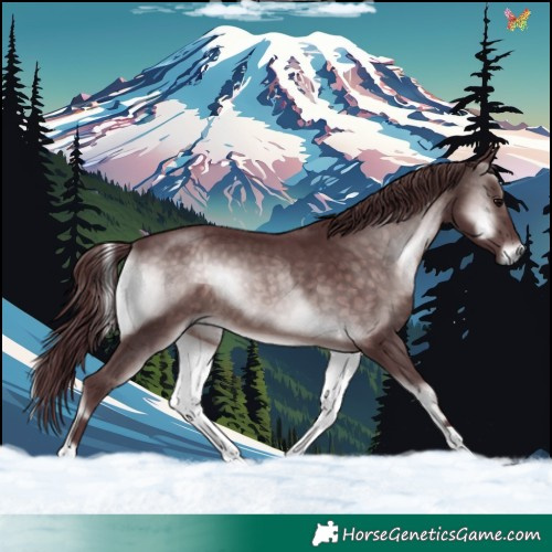 Horse Color:Platinum Chocolate Brown Onyx 
