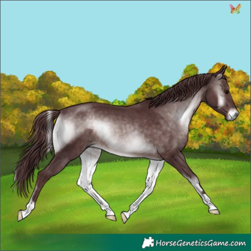 Horse Color:Platinum Chocolate Brown Onyx 