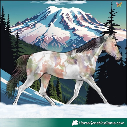 Horse Color:Nacre White Spotted Bay Ice Dun Tobiano 
