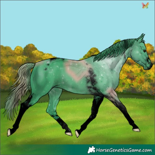 Horse Color:Void Watercolor Smoky Black Tobiano 