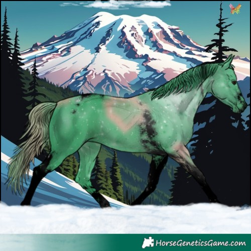 Horse Color:Void Watercolor Smoky Black Tobiano 