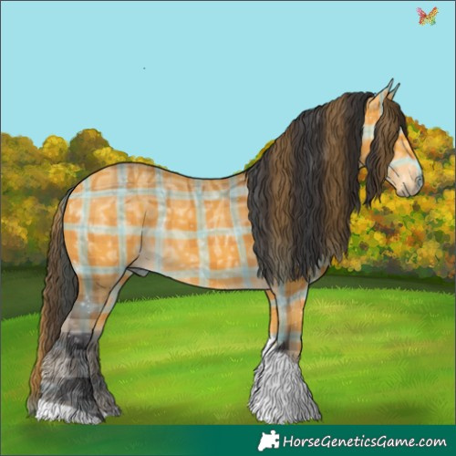 Horse Color:Plaid Buckskin Ice Tobiano