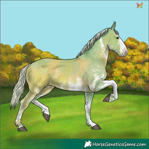 Horse Color:Watercolor White Spotted Silver Black 