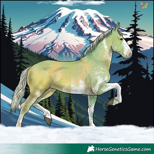 Horse Color:Watercolor White Spotted Silver Black 
