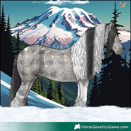 Horse Color:Plaid  Black Ice Tobiano 