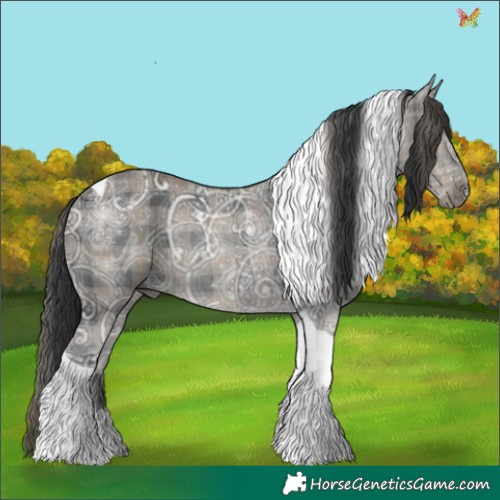 Horse Color:Plaid  Black Ice Tobiano 