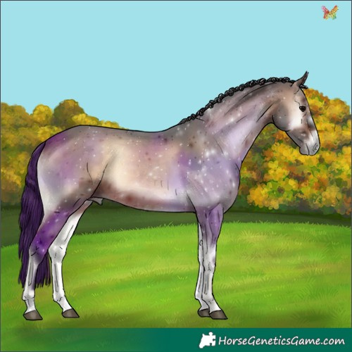 Horse Color:Brown Onyx 