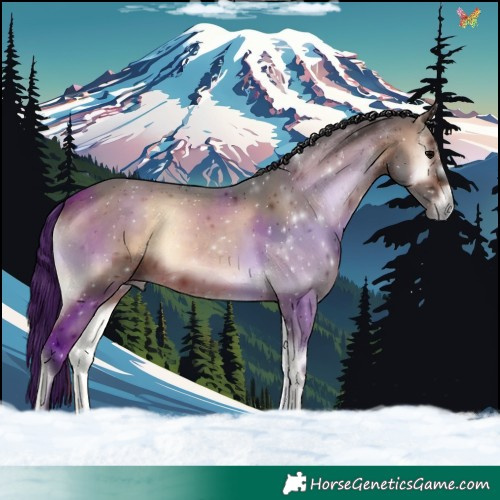 Horse Color:Brown Onyx 