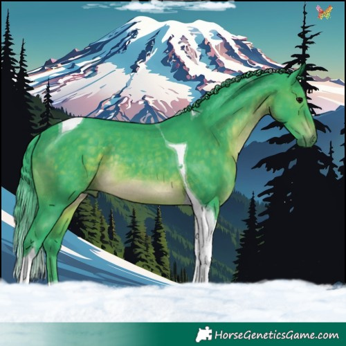 Horse Color:Watercolor Brown Tobiano Rabicano 