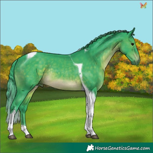 Horse Color:Watercolor Brown Tobiano Rabicano