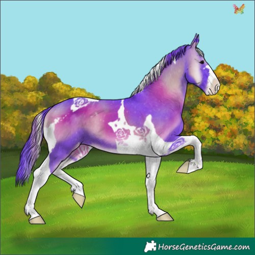 Horse Color:Watercolor Blue Onyx Tobiano Appaloosa 