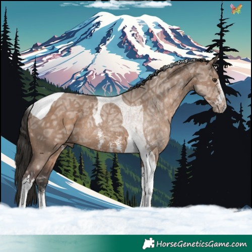 Horse Color:Liver Red Dun Ice Sabino Tobiano 