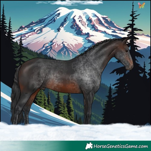 Horse Color:Brown 