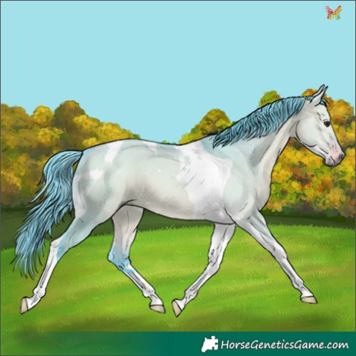 Horse Color:Watercolor Brown Dun Tobiano 