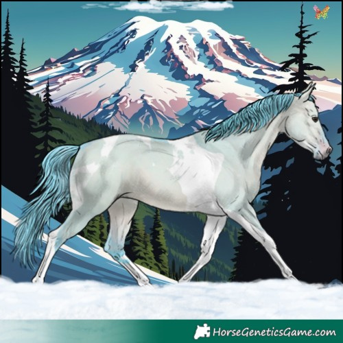 Horse Color:Watercolor Brown Dun Tobiano 