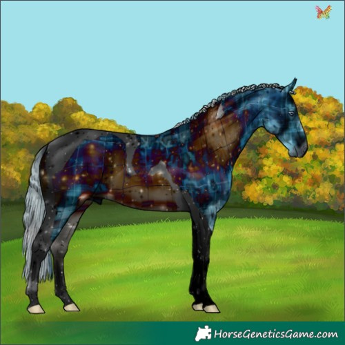 Horse Color:ERROR: UNKNOWN ANOMALY